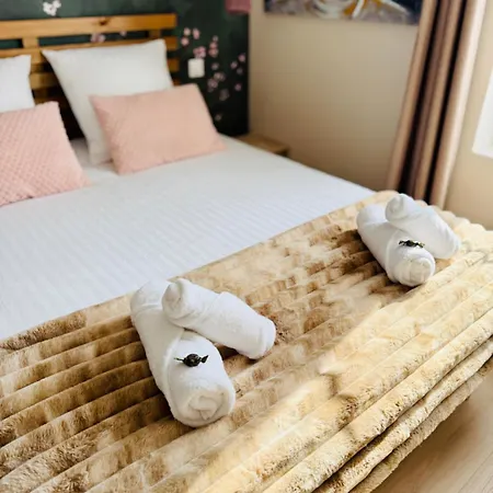 L écrin Rémois Apartamento Reims
